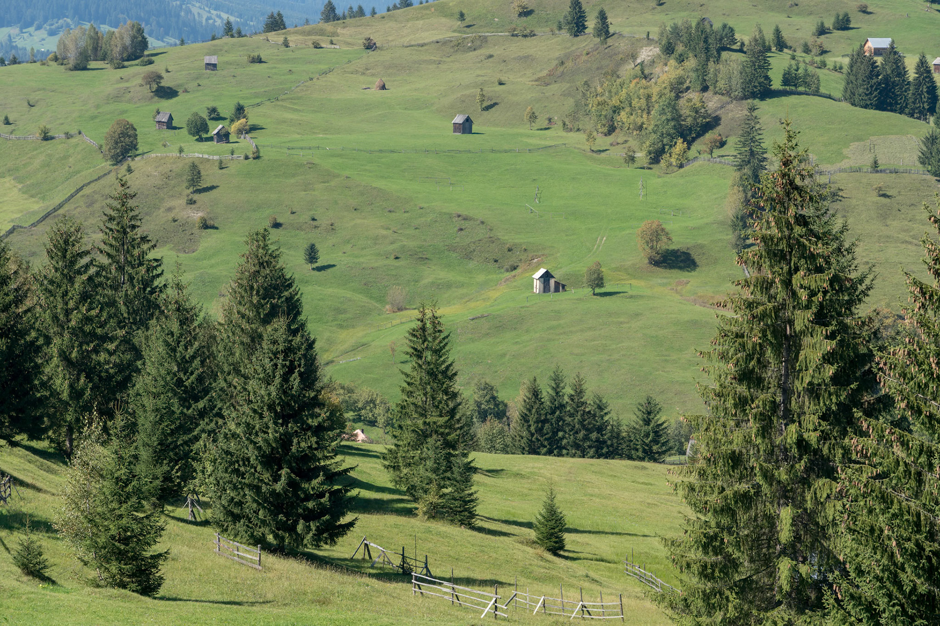CAMPULUNG MOLDOVENESC, TRANSYLVANIA/ROMANIA - SEPTEMBER 18 : Farmland near  Campulung Moldovenesc Transylvania Romania on September 18, 2018