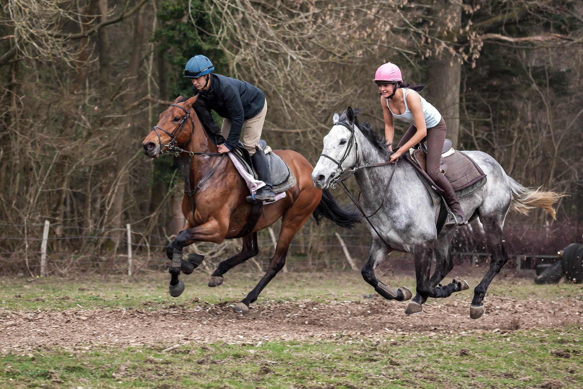 Horse Riding