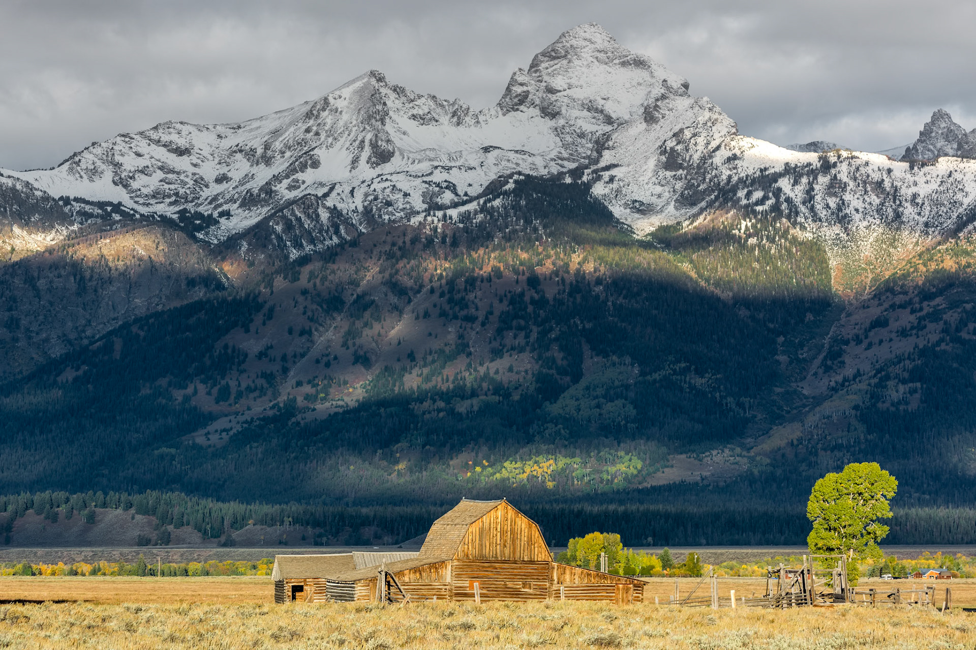 Mormon Row