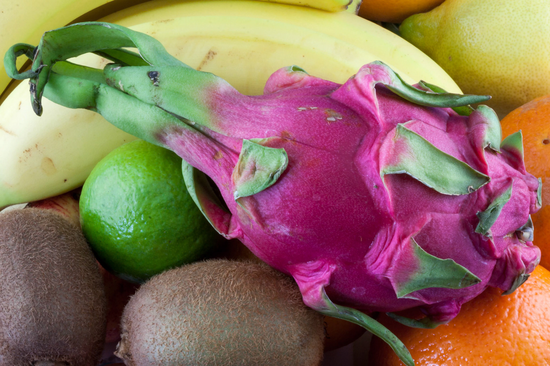 Medley of Different Edible Fruits Ready to Eat