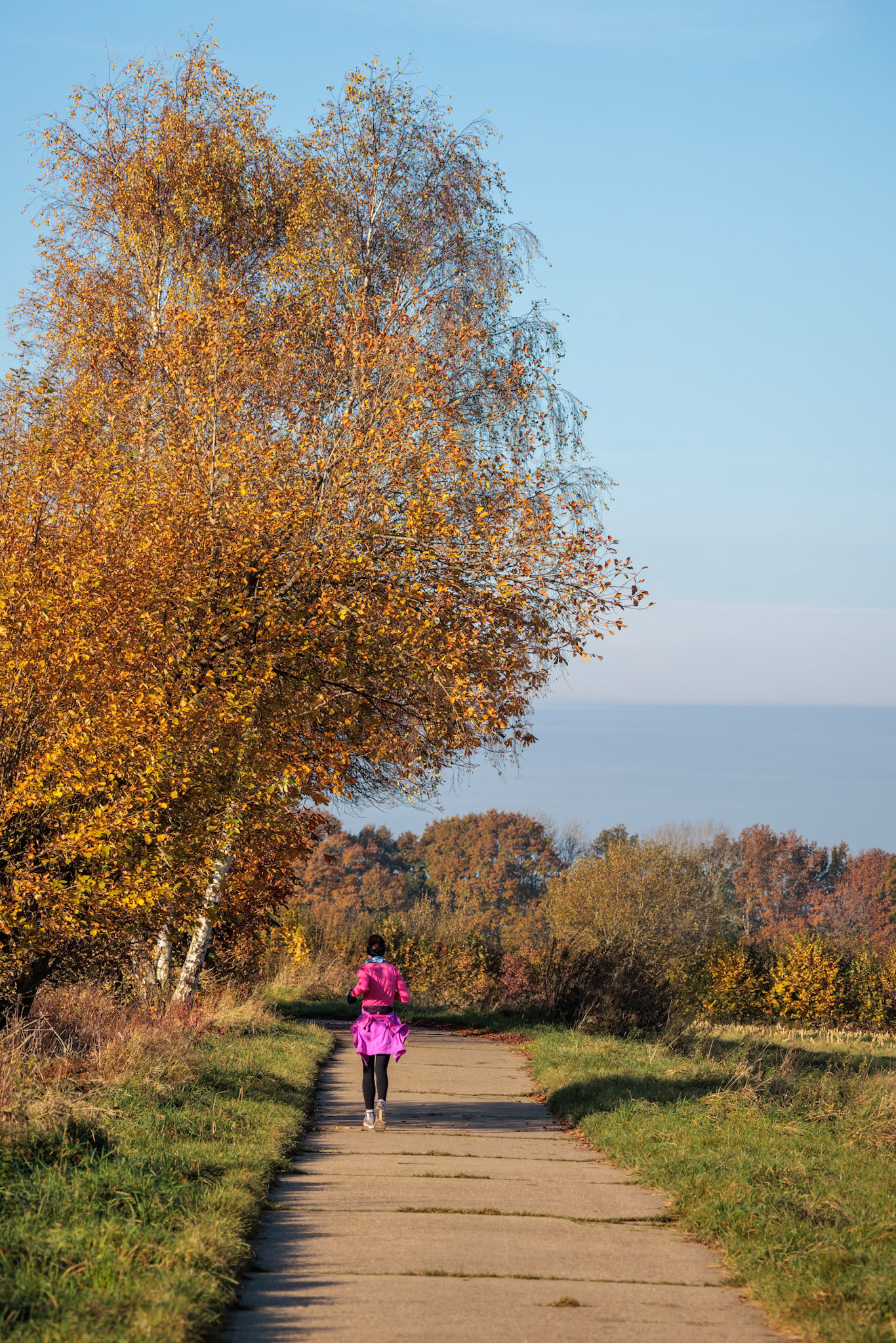 EAST GRINSTEAD, WEST SUSSEX, UK - NOVEMBER 16 : Jogging in the early morning autumn sunshine near East Grinstead, West Sussex, UK on November 16, 2021. One unidentified person