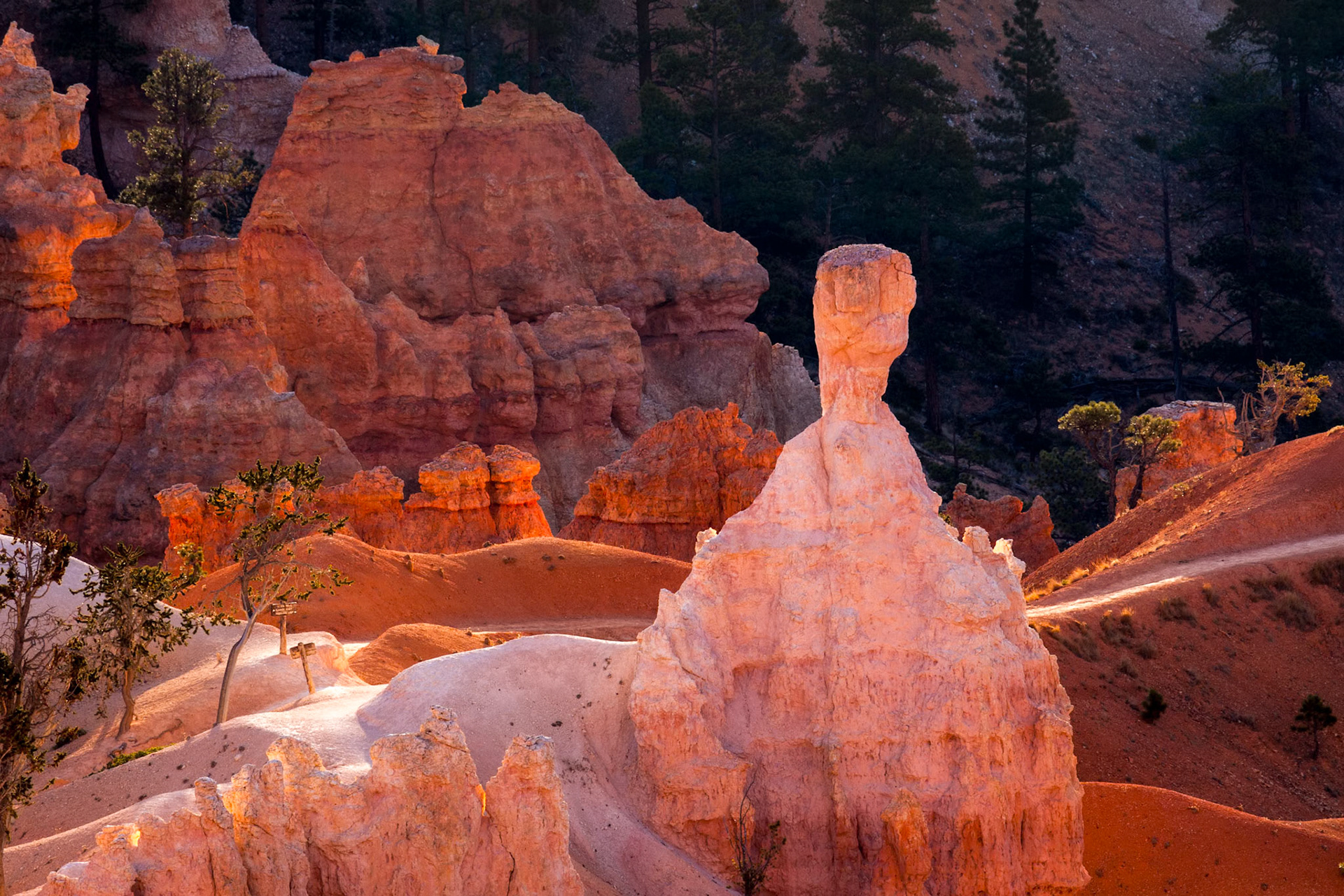 Scenic View of Bryce Canyon