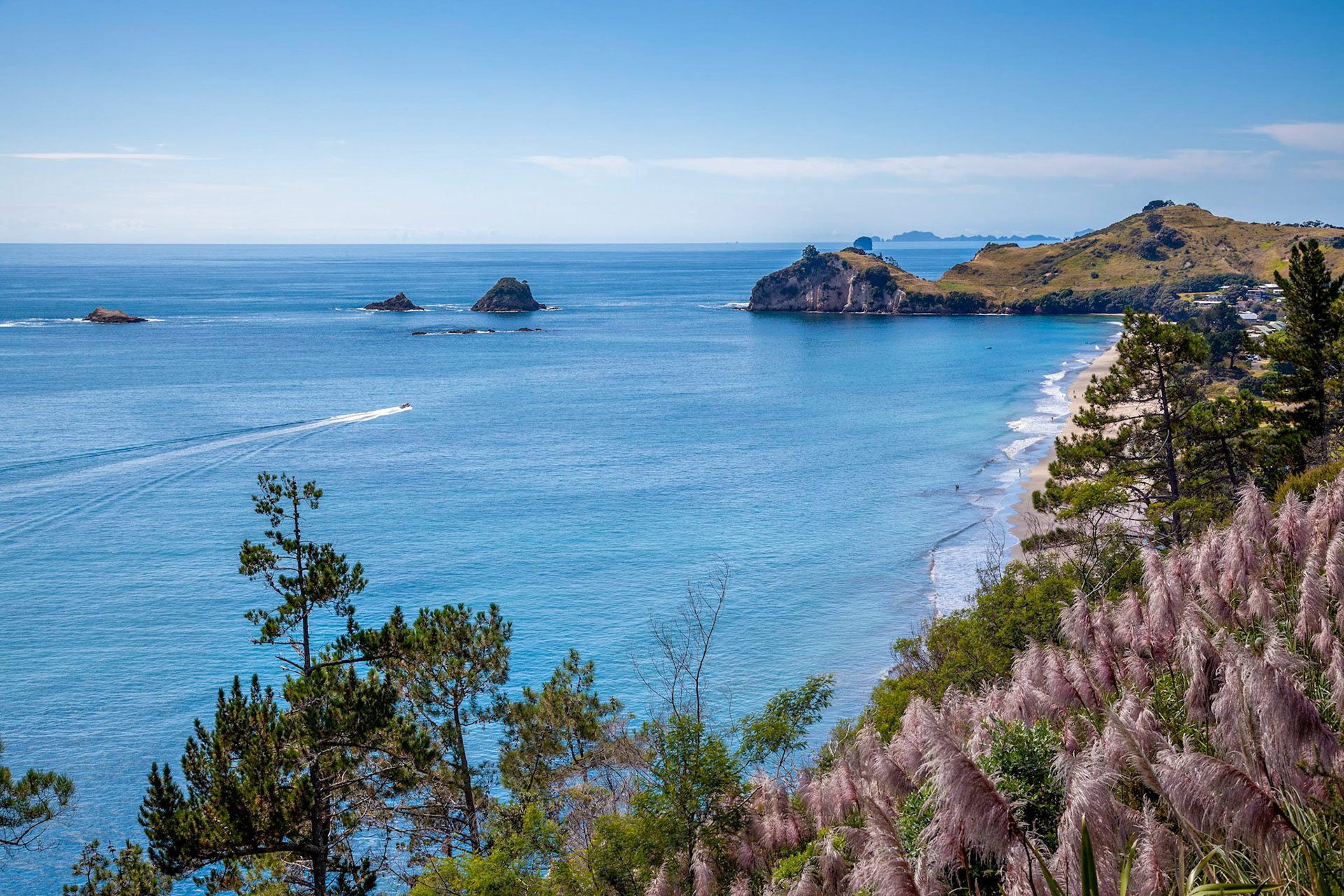 View towards Hahei