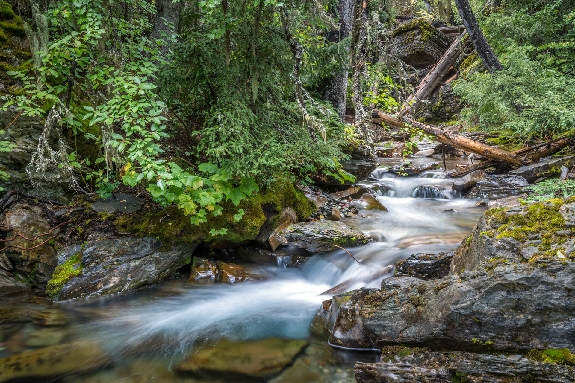 Holland Creek