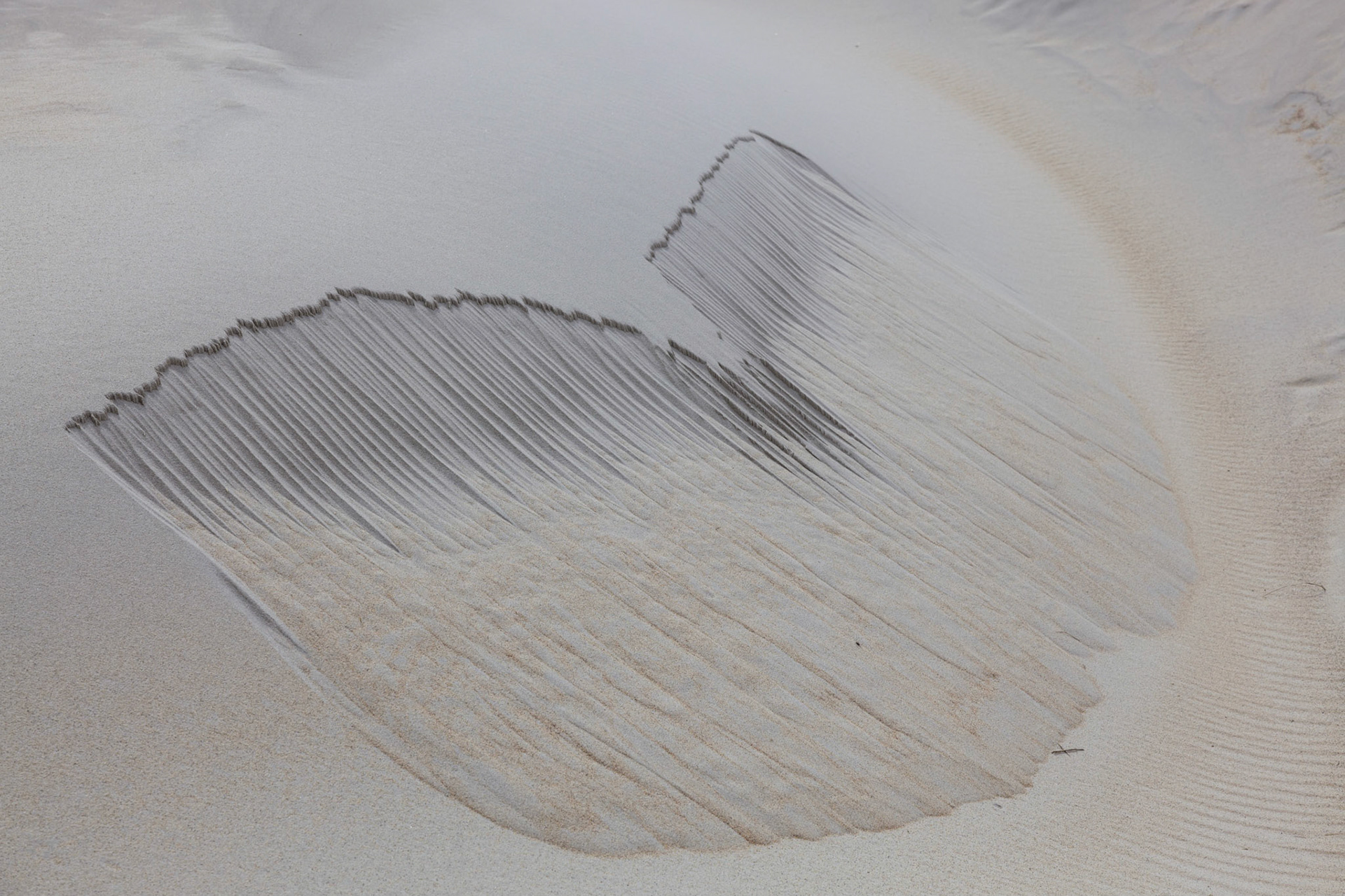 Sand dune at Sandfly Bay South Island New Zealand