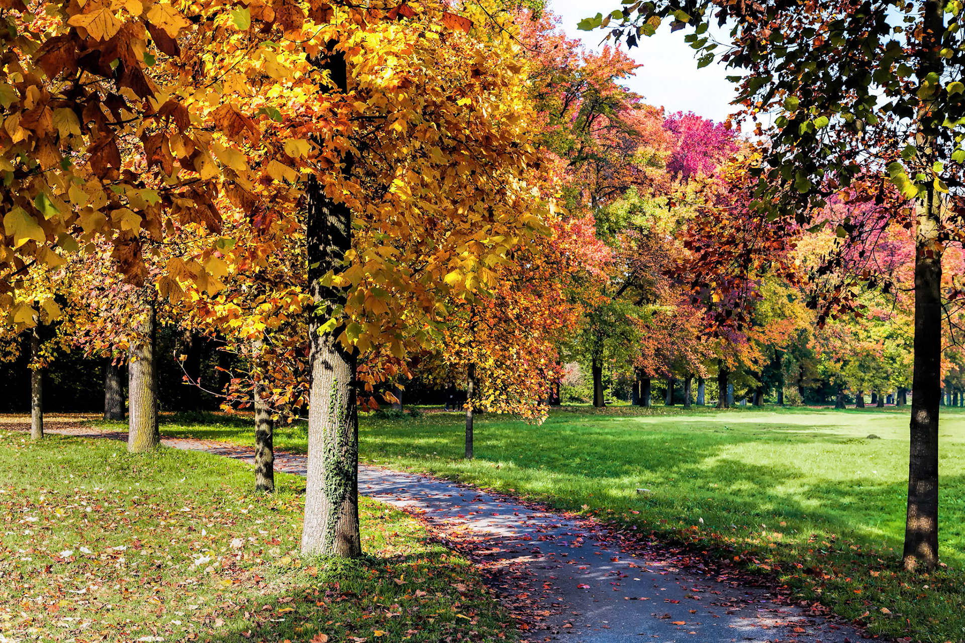 Autumn Tints in Parco di Monza Italy