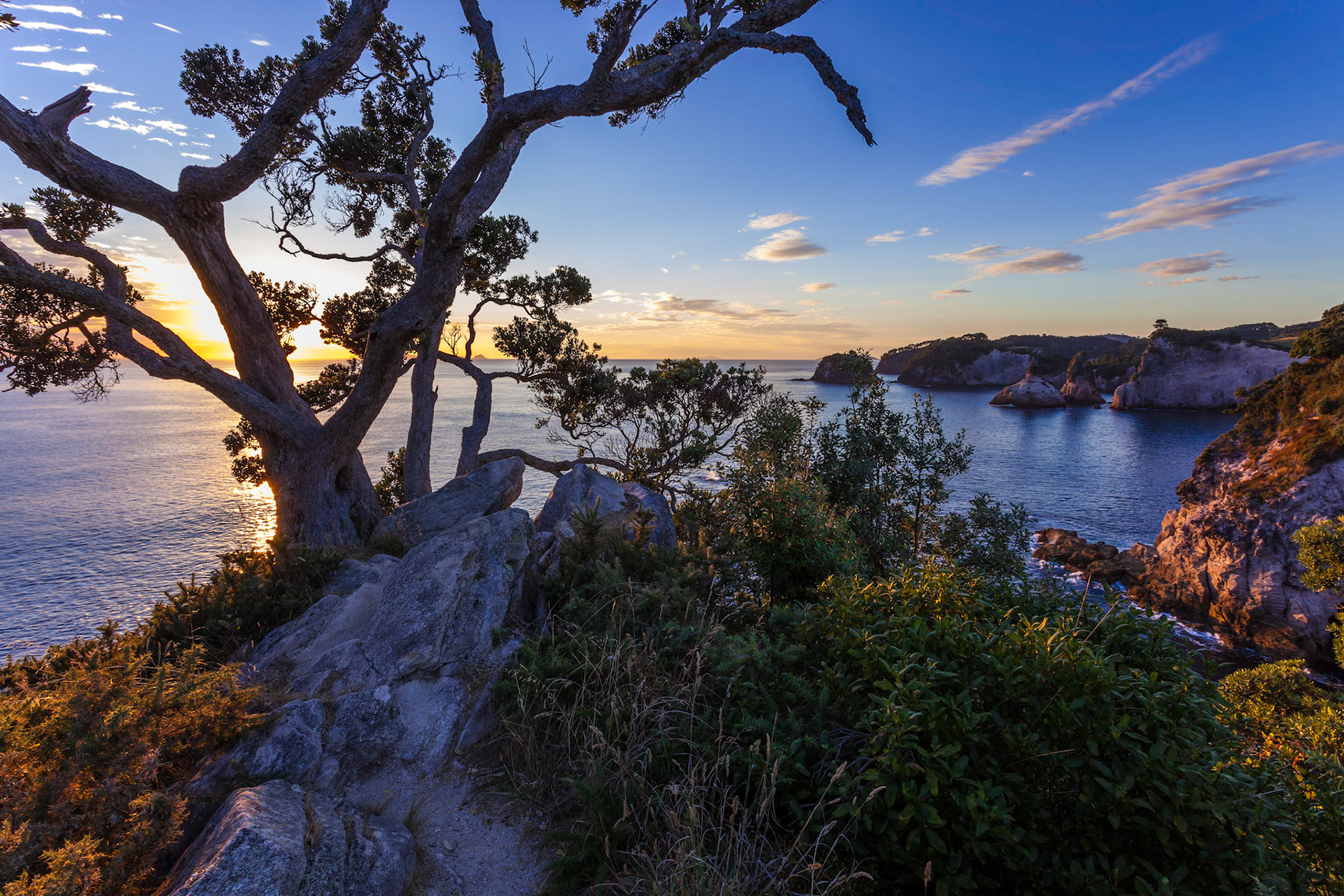 Sunrise at Te Pare Point at Hahei in New Zealand