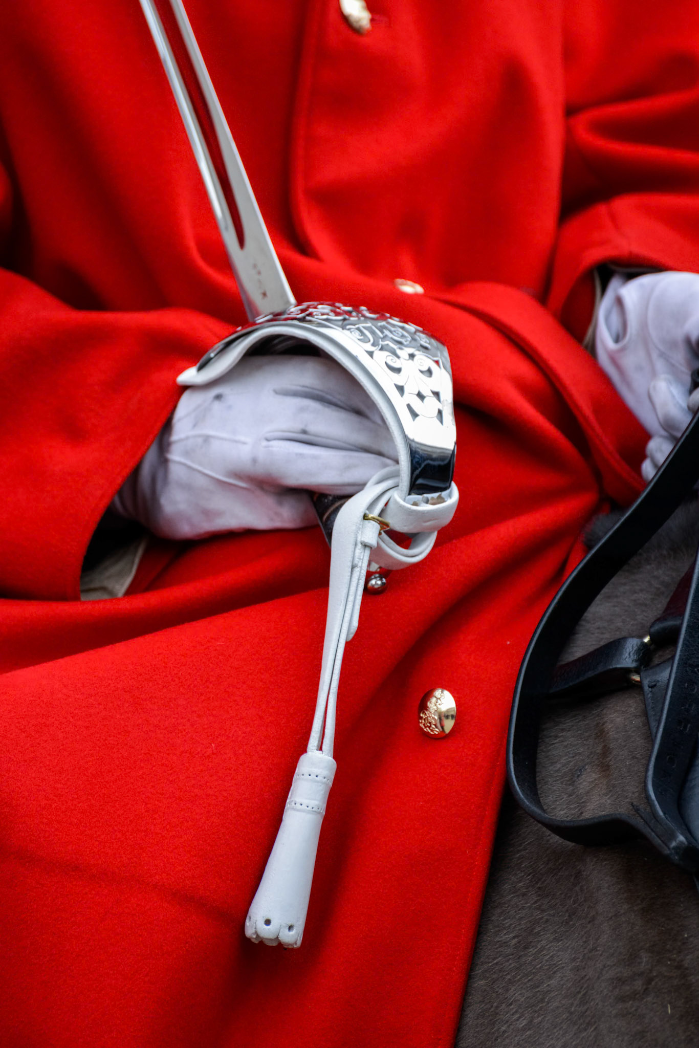 Lifeguard of the Queens Household Cavalry