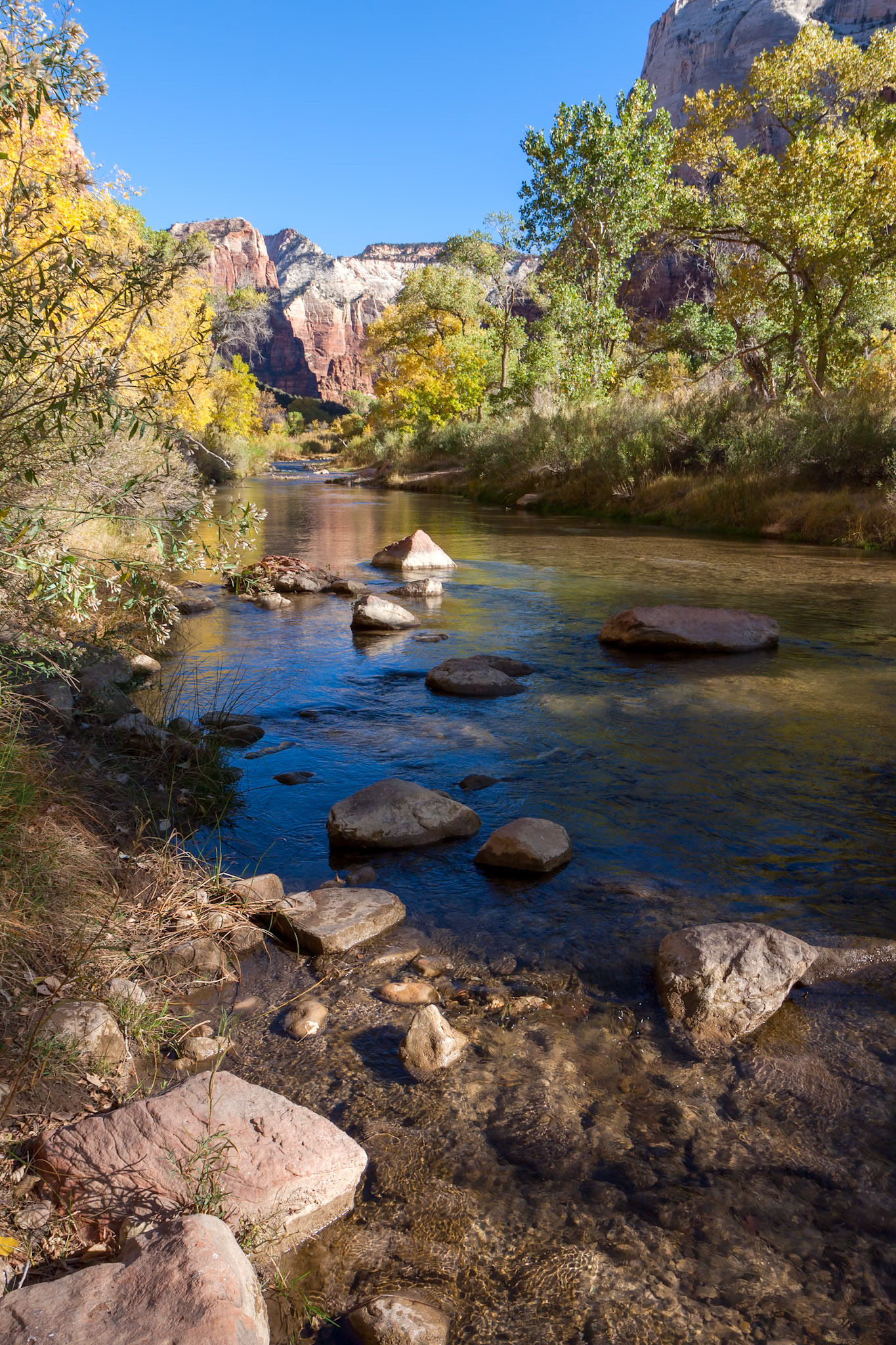 Virgin River Meandering through the Mountains of Zion