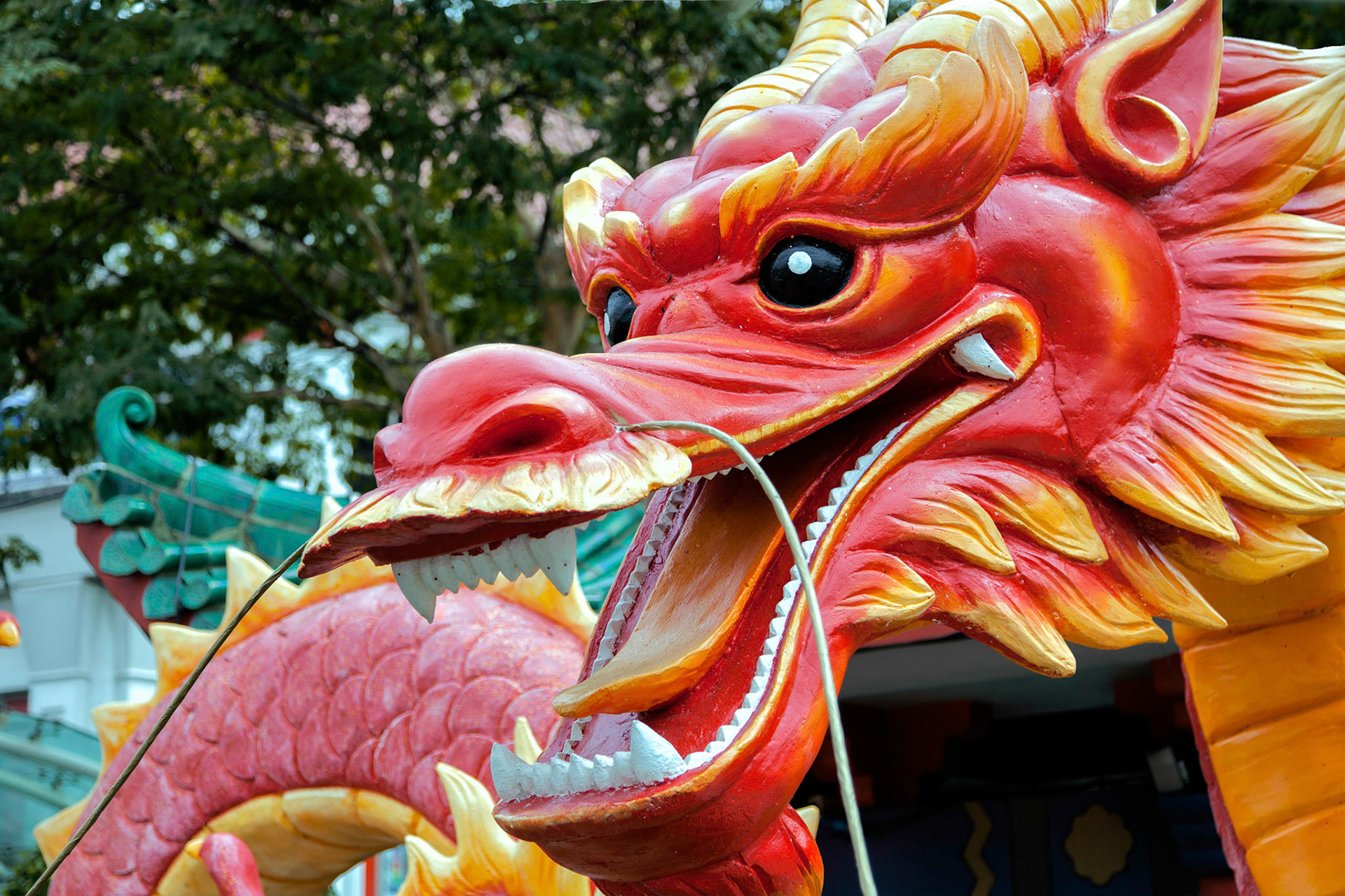 Plastic Model of a Dragon in a Singapore Street