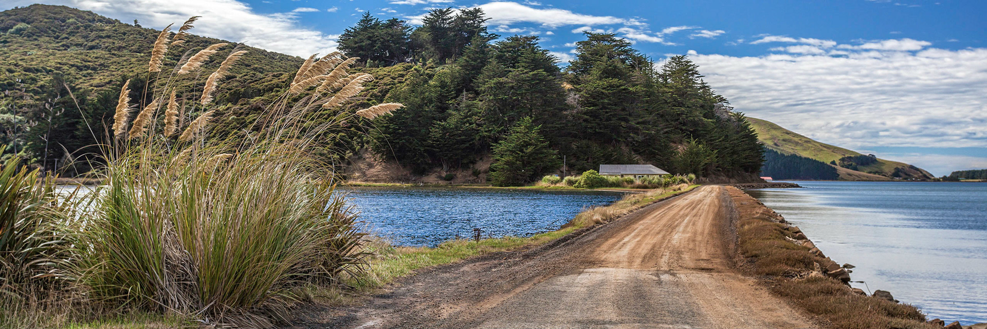 The Otago Peninsula New Zealand