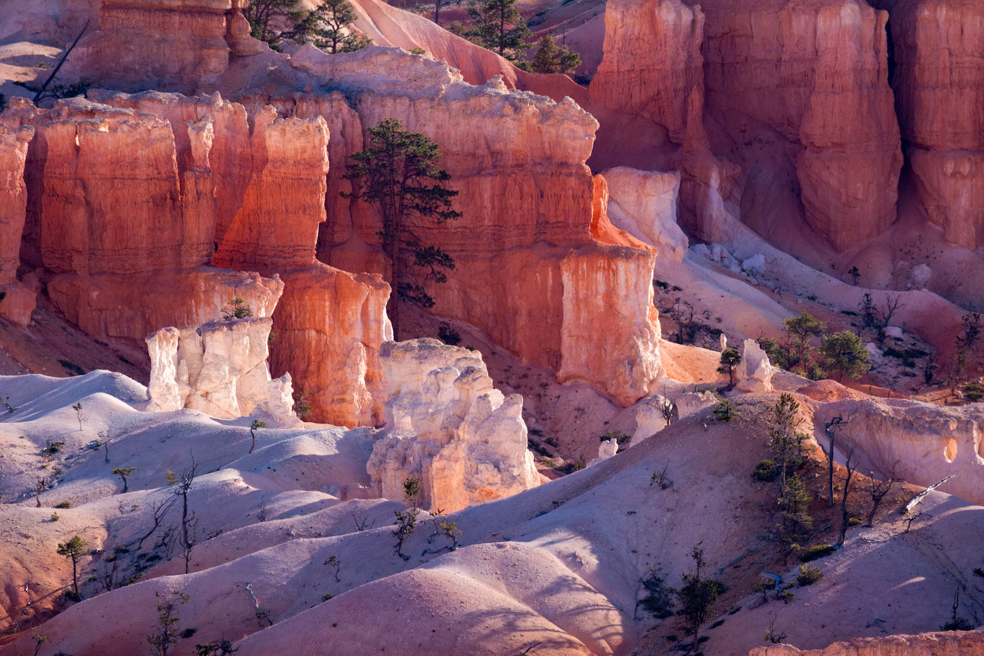 Scenic View of Bryce Canyon