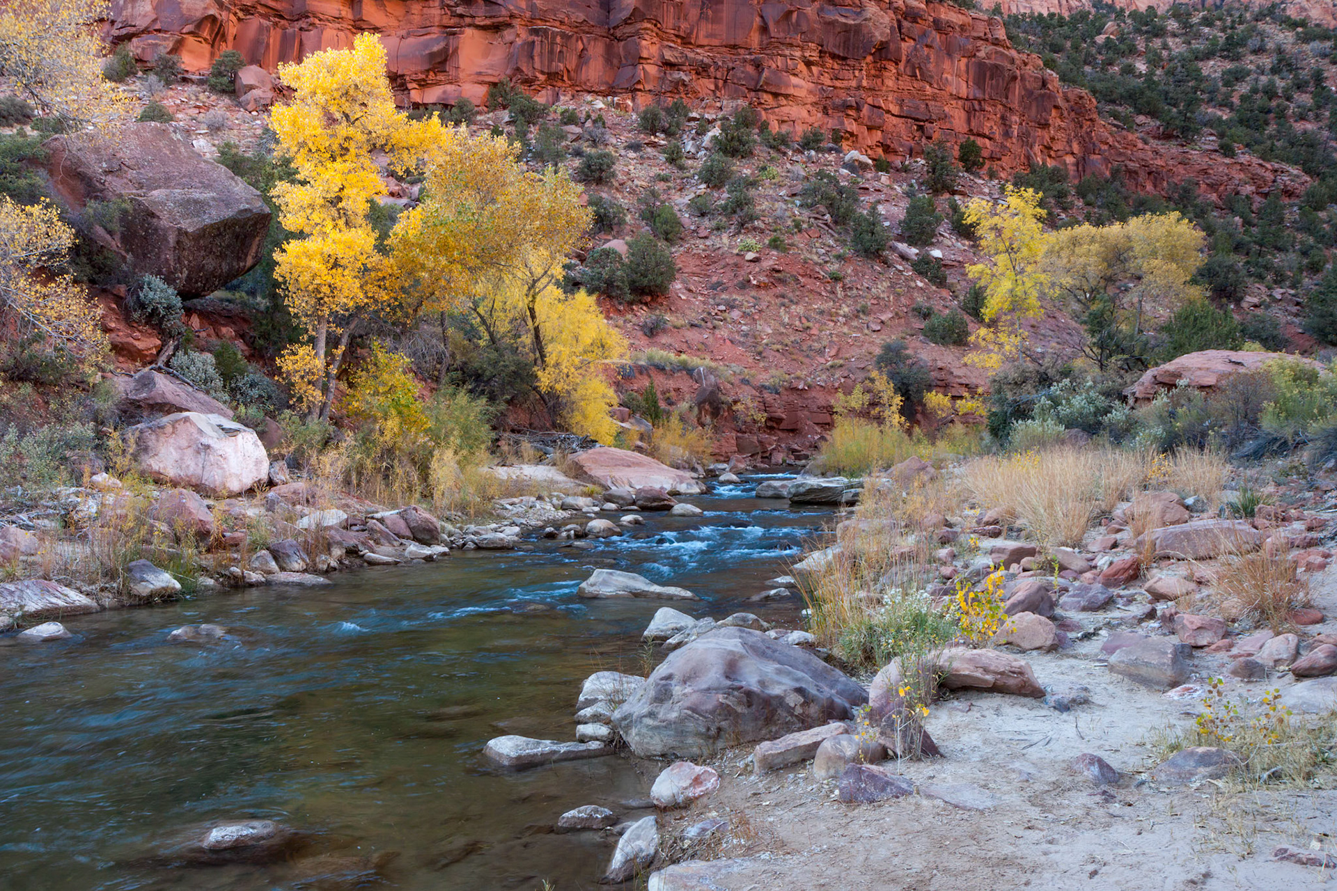 Fall in Zion National Park