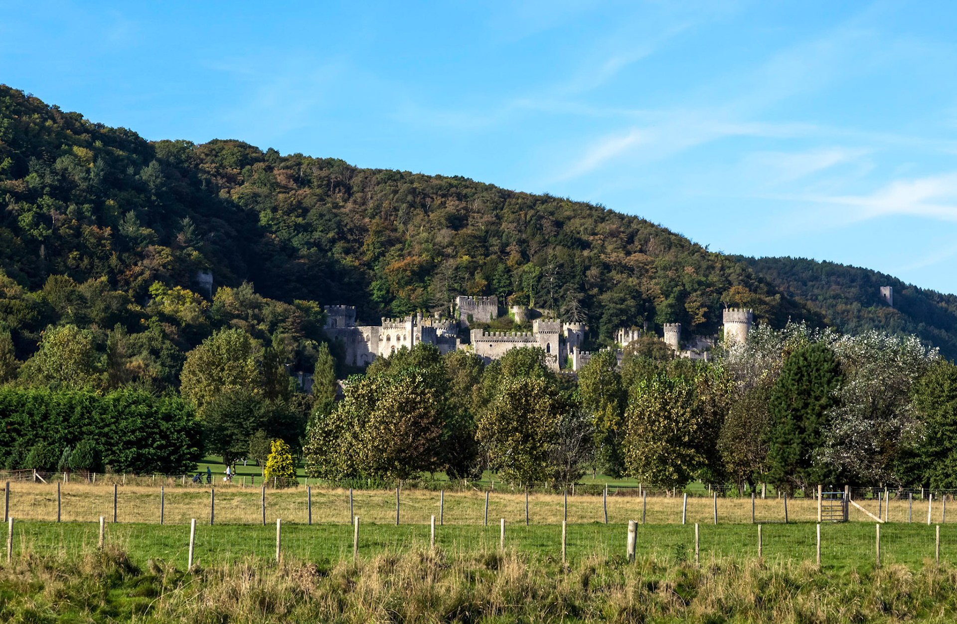 Gwrych Castle