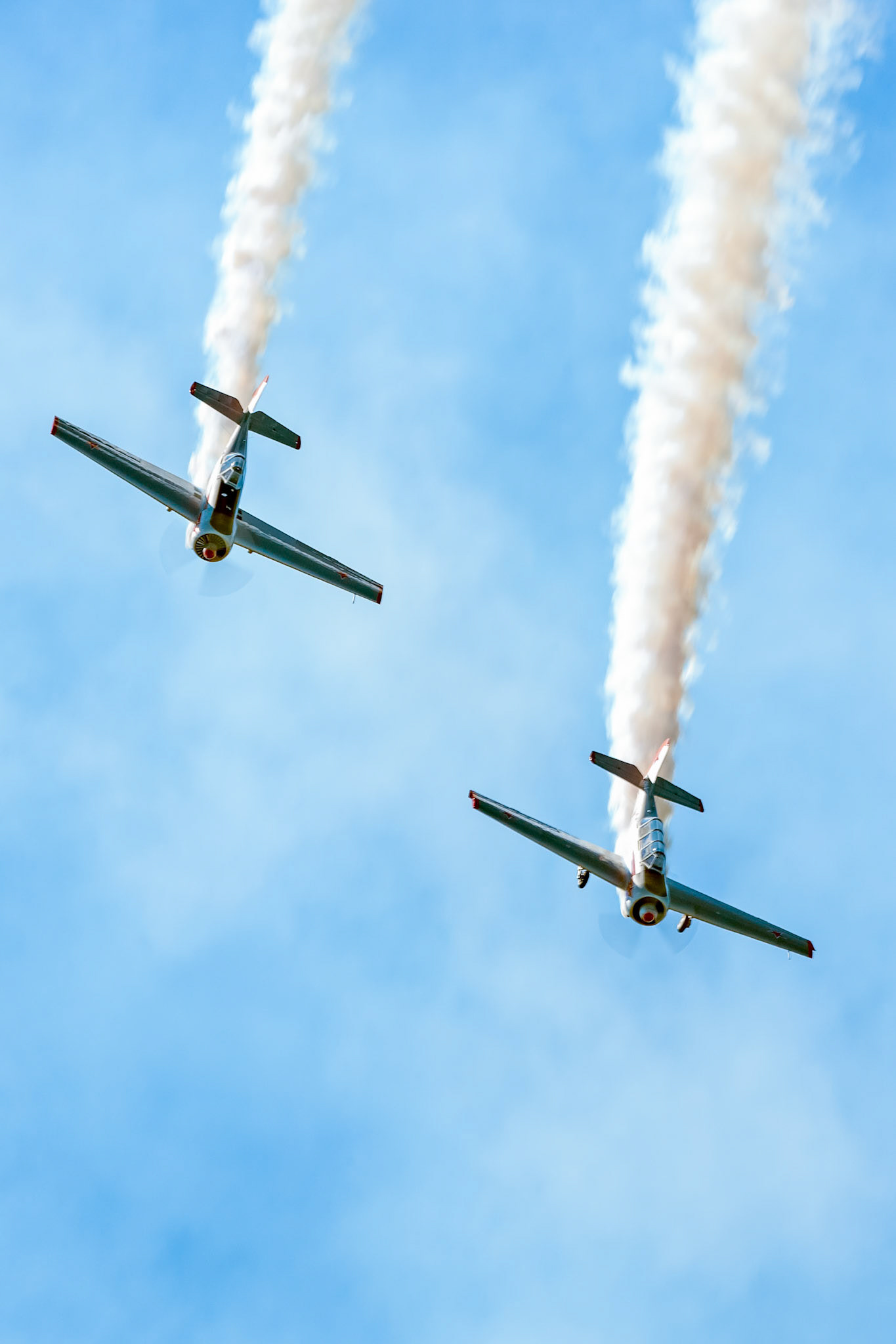 Yakovlev Yak-52/50