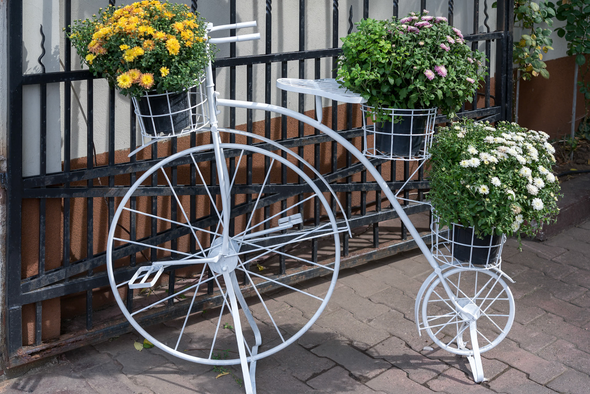 BUCHAREST/ROMANIA - SEPTEMBER 21 : White penny farthing bicycle in Bucharest Romania on September 21, 2018
