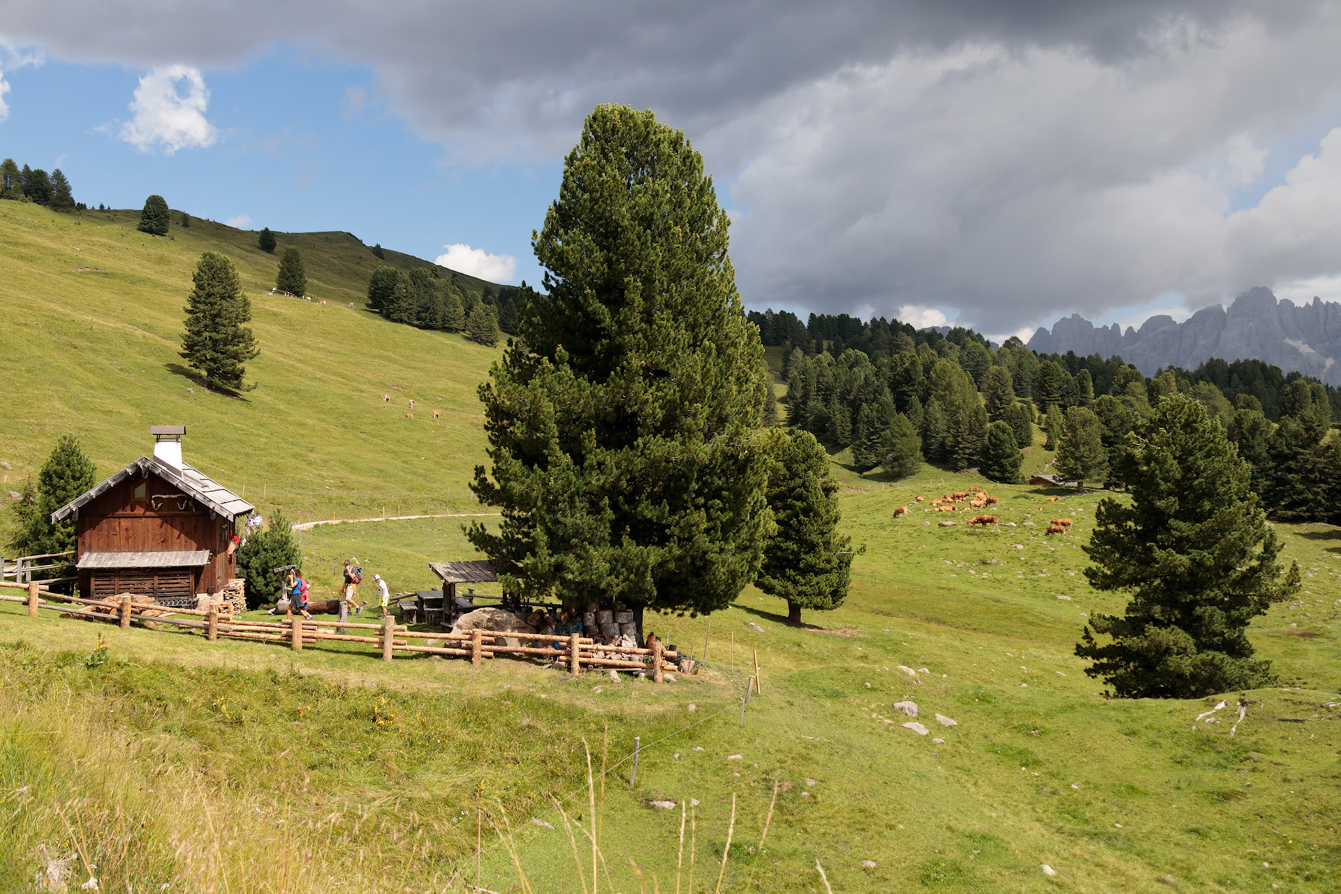 TONADICO, TRENTINO/ITALY - AUGUST 11 : Refuge in the Natural Park of Paneveggio Pale di San Martino in Tonadico, Trentino, Italy on August 11, 2020. Unidentified people