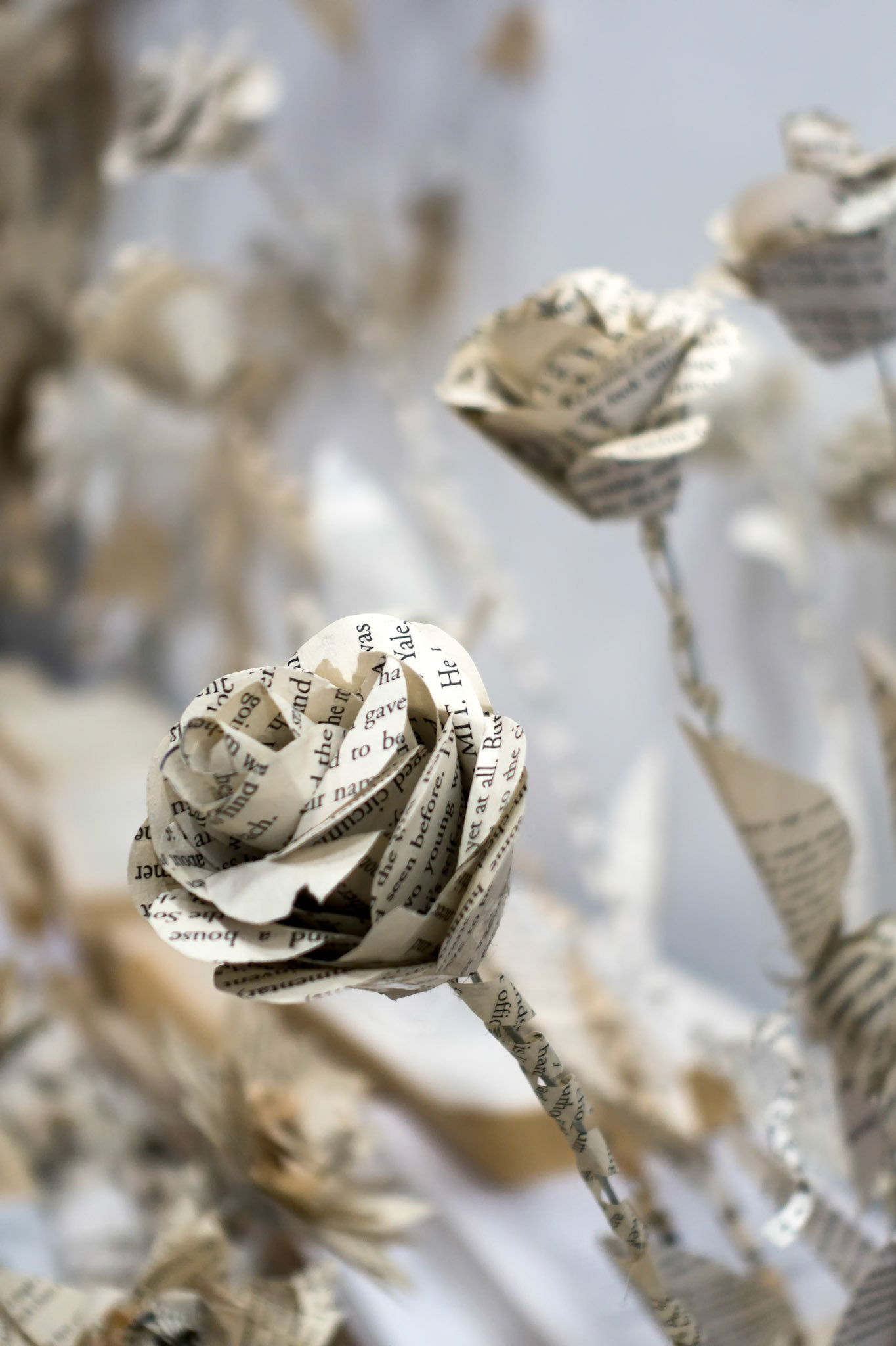 Artistic Flower Display Made of Paper at the Millennium Centre in Cardiff