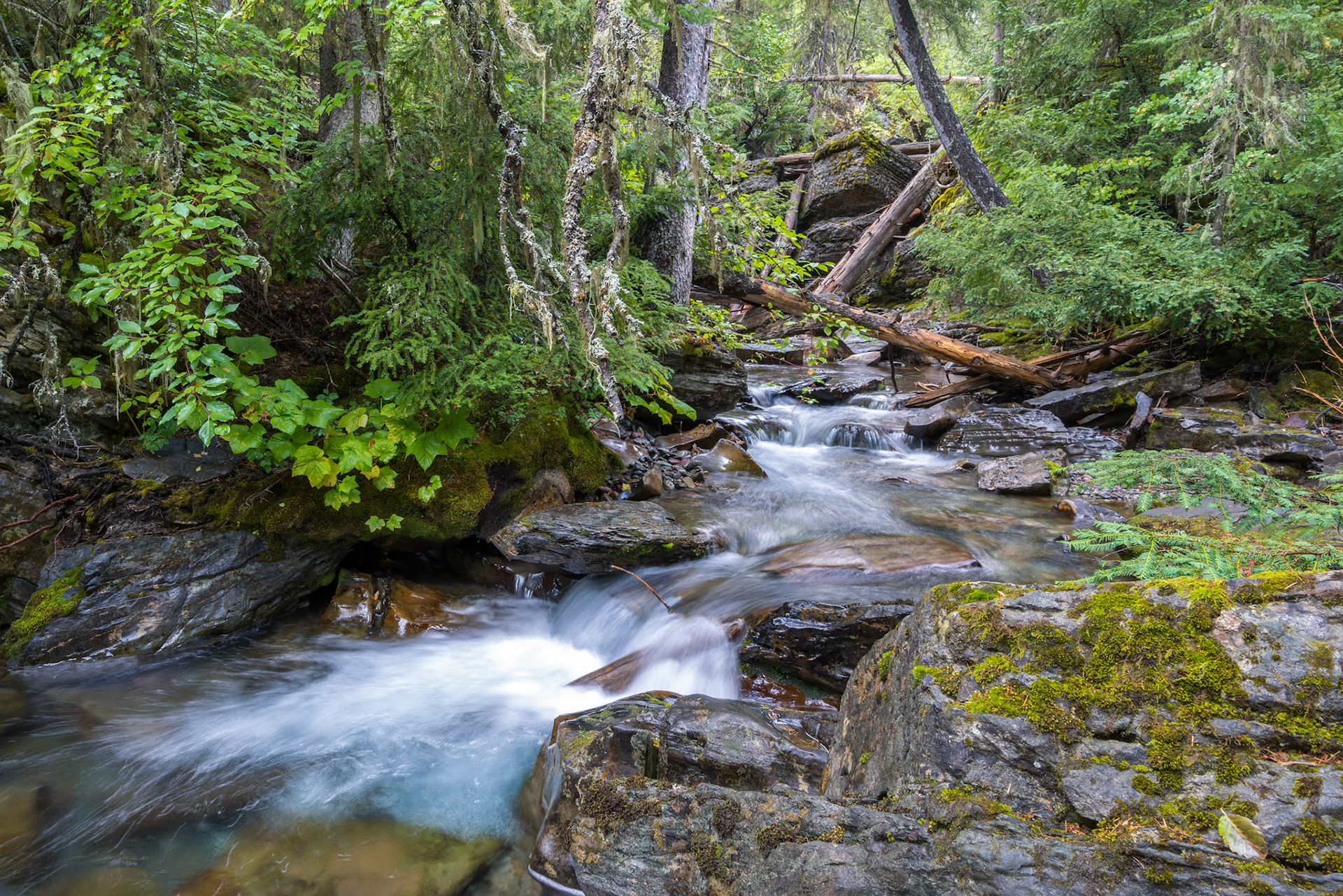 Holland Creek