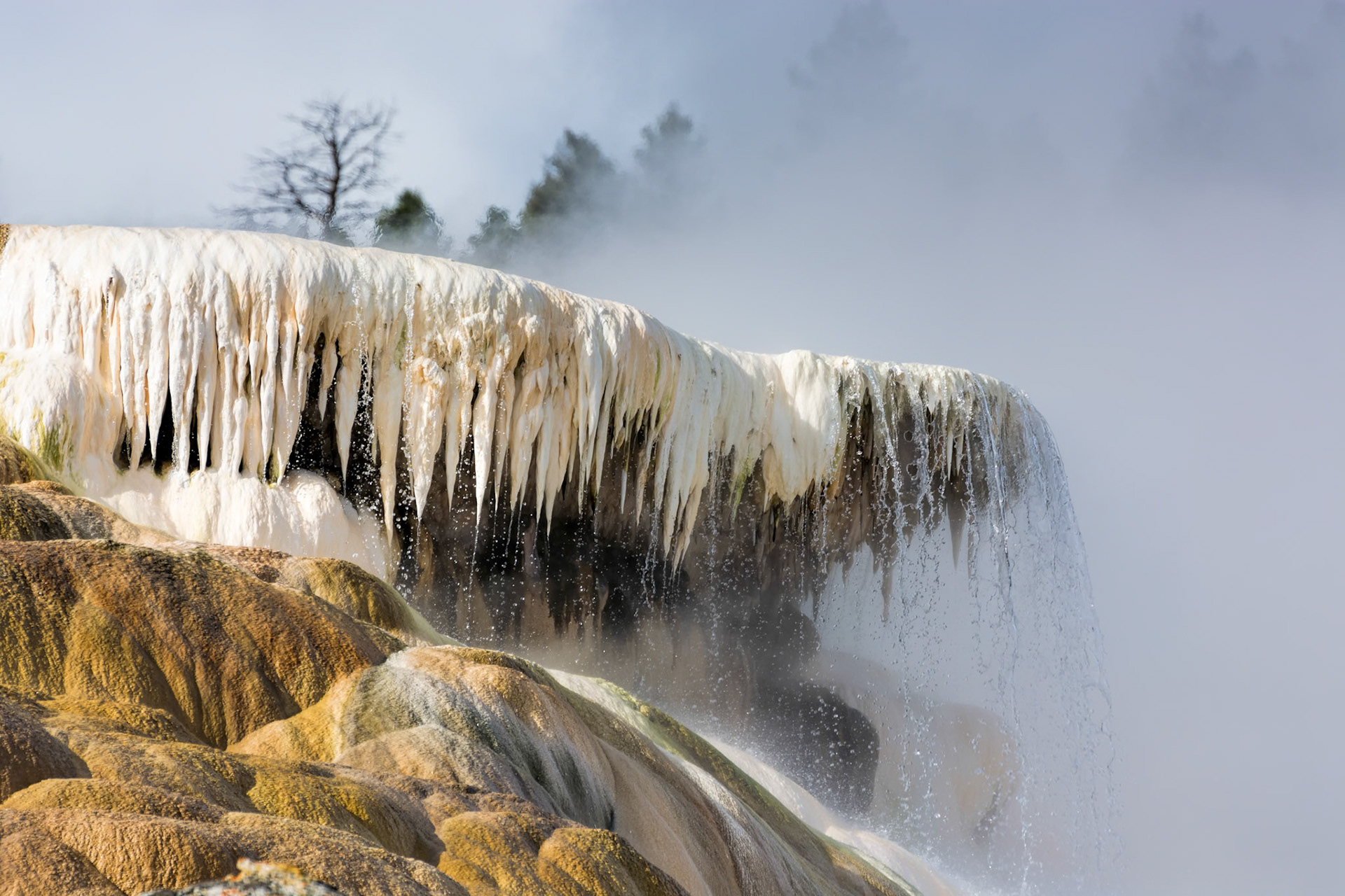 Mammoth Hot Springs