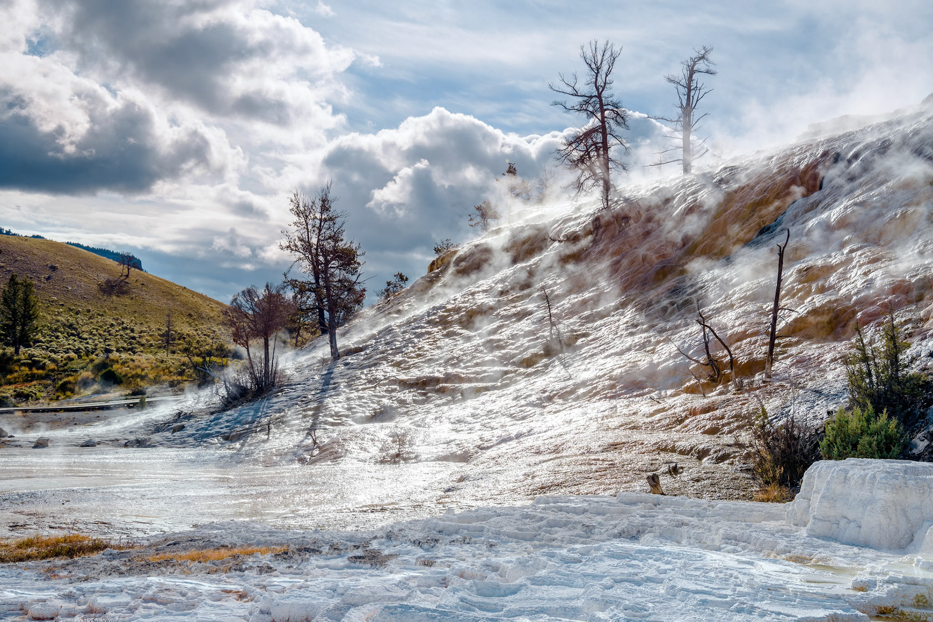 Mammoth Hot Springs