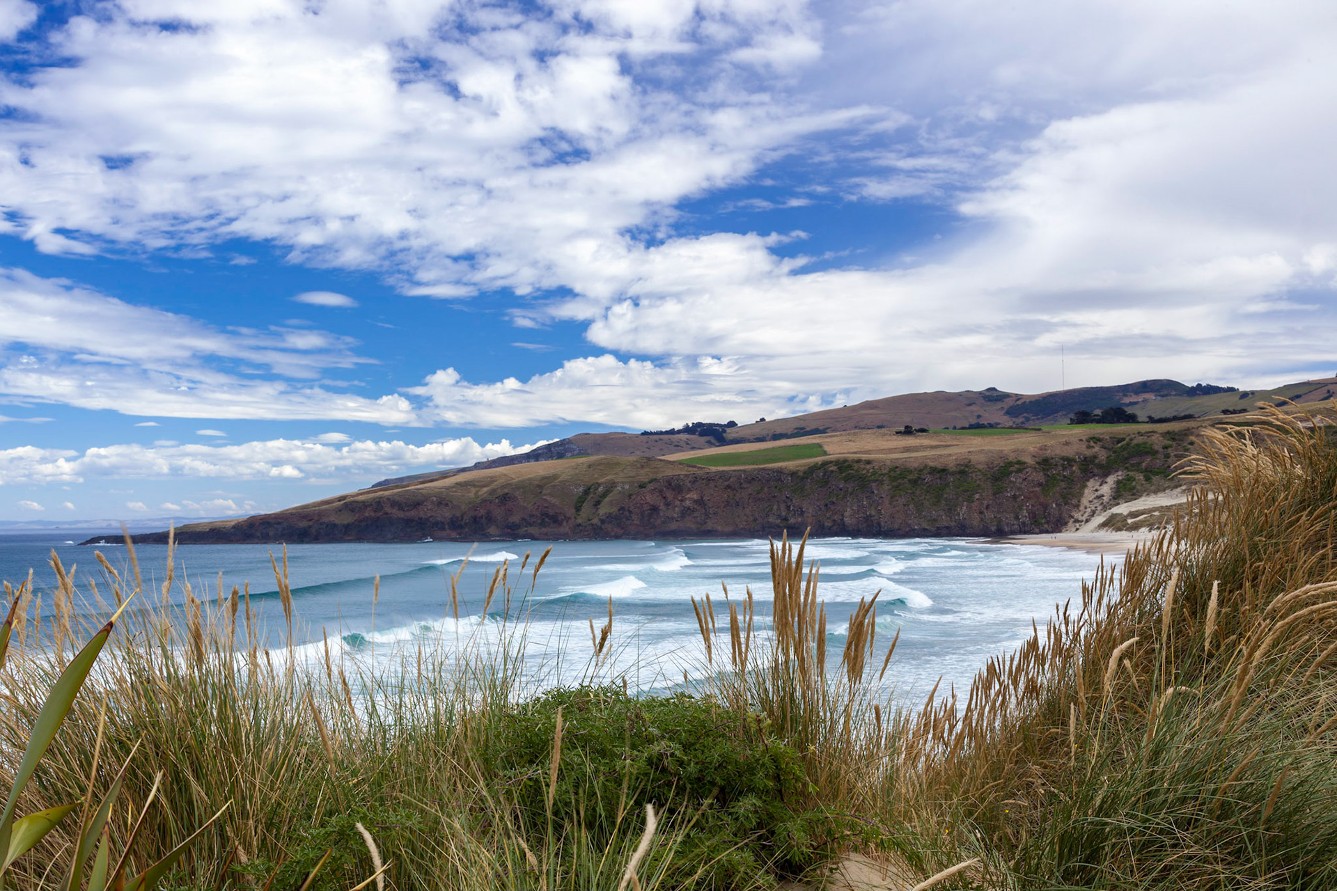 Sandfly Bay
