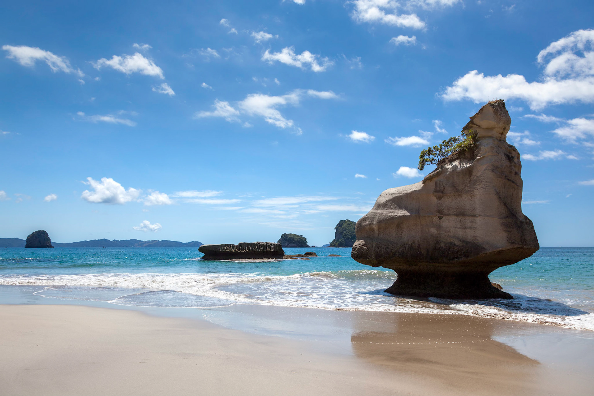 Cathedral Cove Coromandel Peninsula