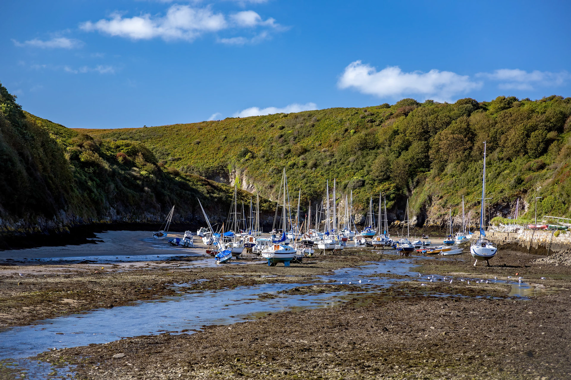 SOLVA, PEMBROKESHIRE/UK - SEPTEMBER 13 : Yachts on the mud  at Solva in Pembrokeshire on September 13, 2019