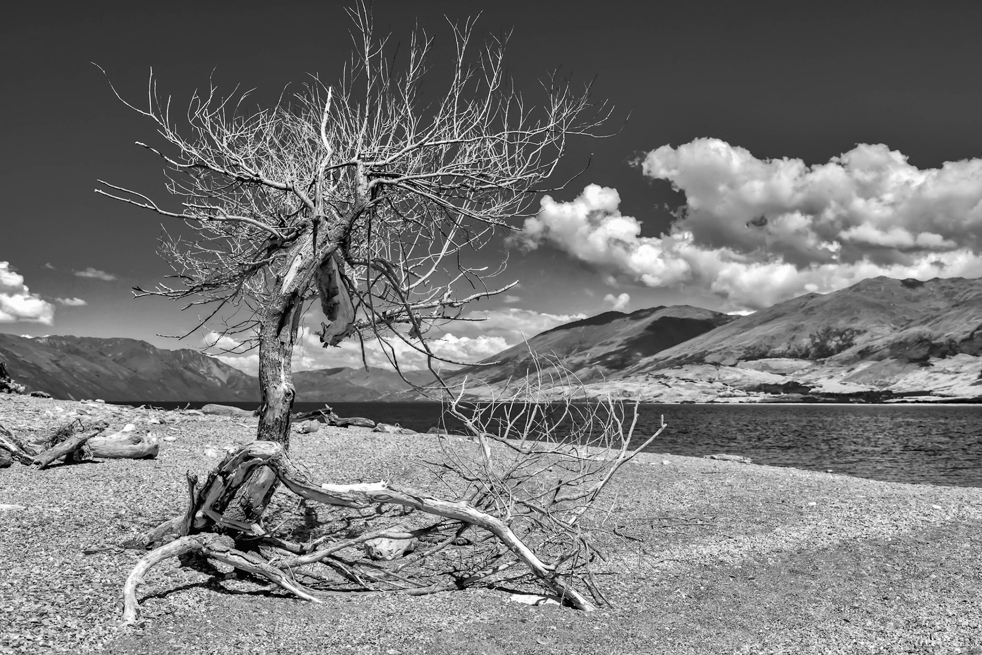 Lake Wanaka