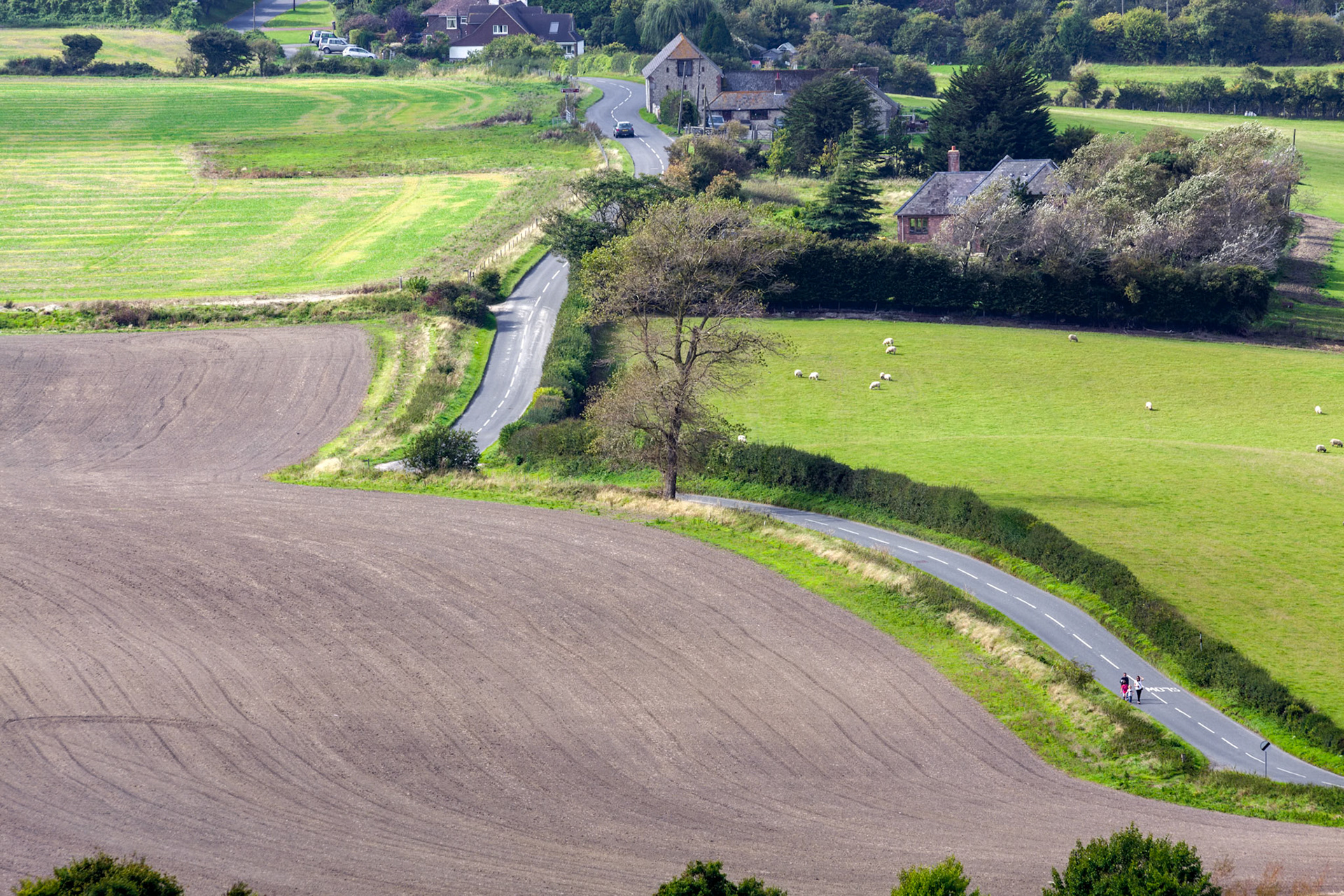 Rolling Sussex Countryside