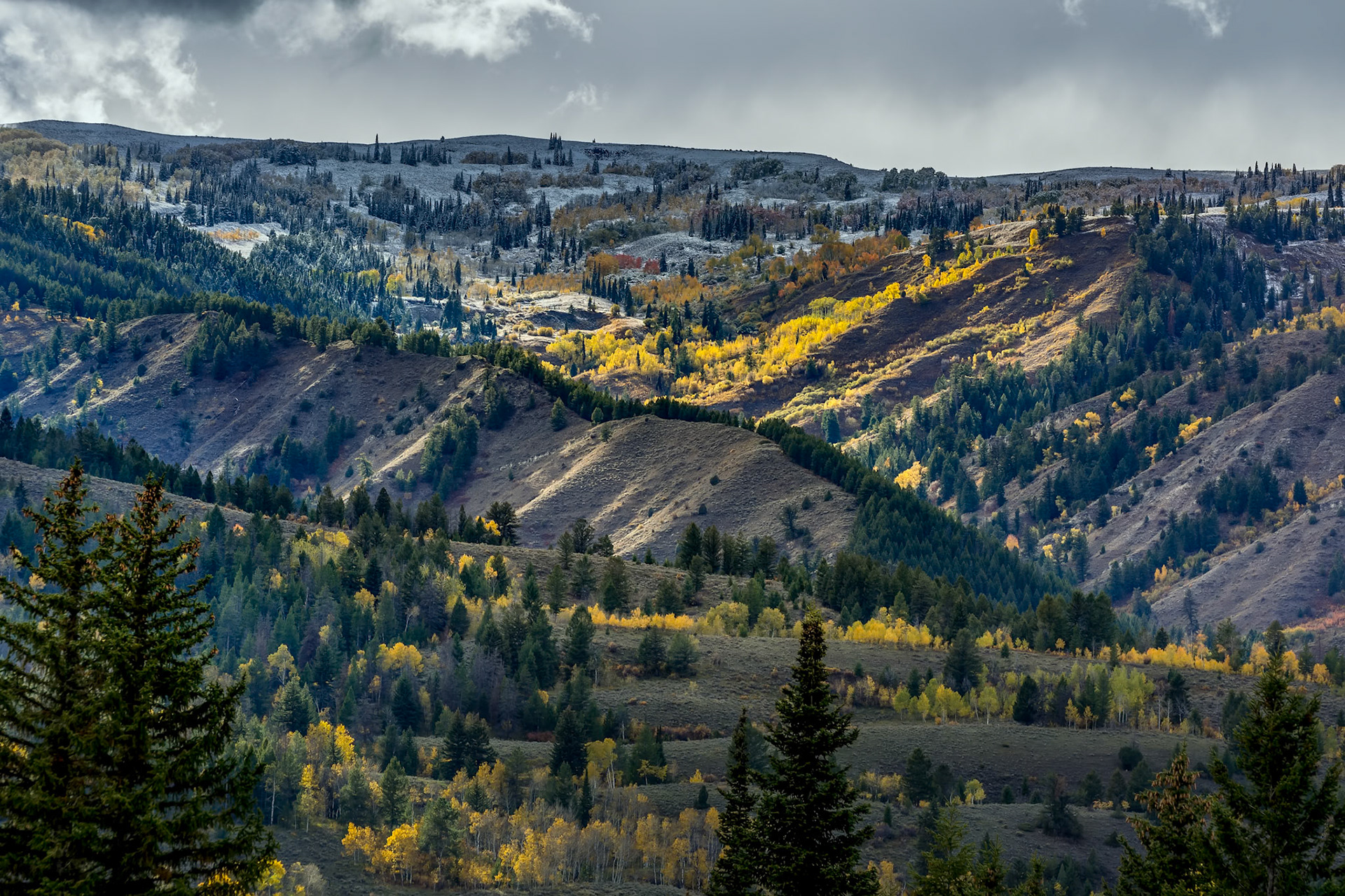 Autumn Colours and the first snowfall of the season in Wyoming