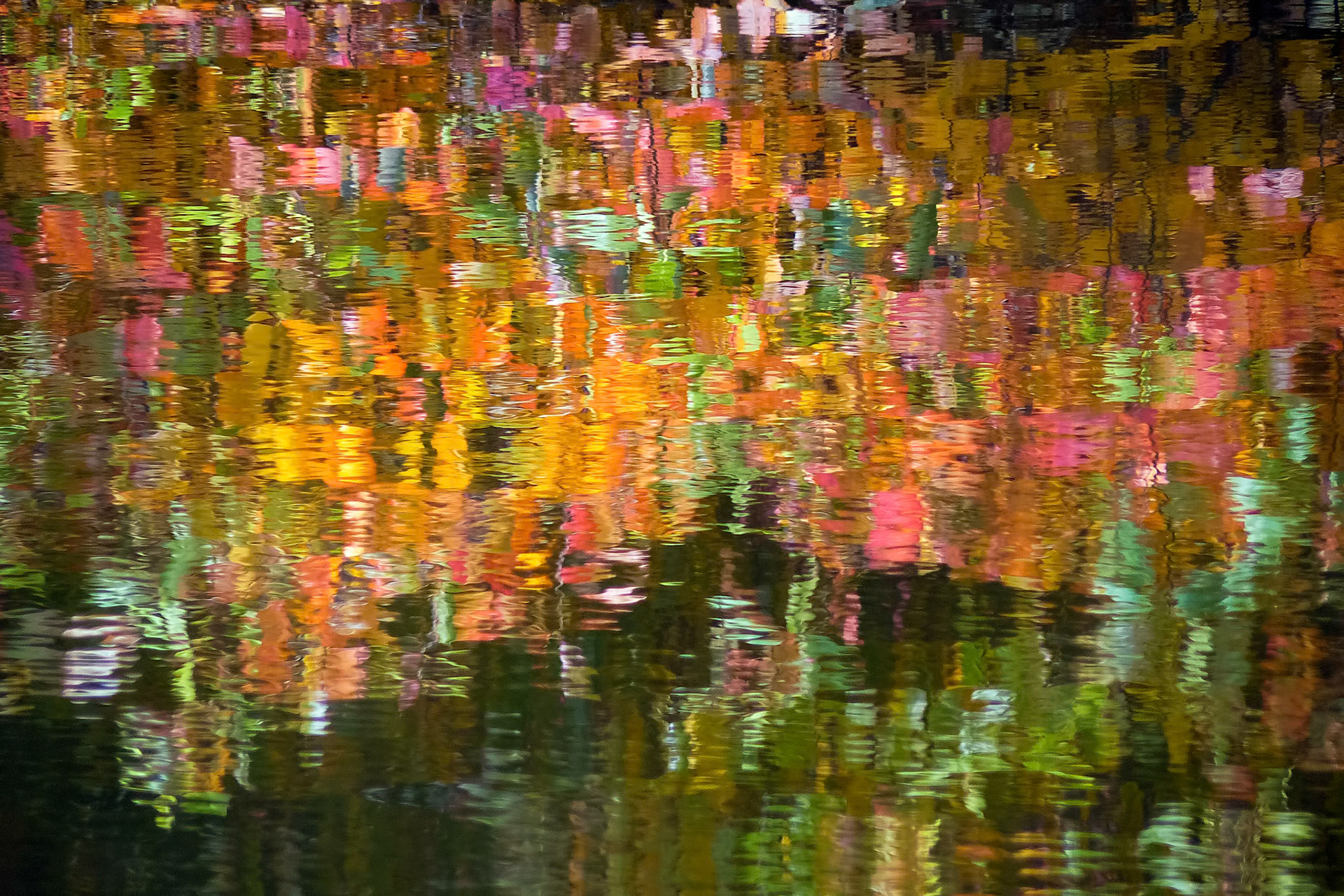 Reflection Sheffield Park